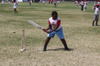 KFC Mini-Cricket Festival at Willowmoore Park, October 17.