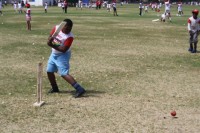 KFC Mini-Cricket Festival at Willowmoore Park, October 17.