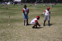 KFC Mini-Cricket Festival at Willowmoore Park, October 17.
