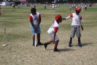 KFC Mini-Cricket Festival at Willowmoore Park, October 17.