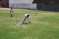 KFC Mini-Cricket Festival at Willowmoore Park, October 17.