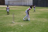 KFC Mini-Cricket Festival at Willowmoore Park, October 17.