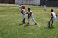 KFC Mini-Cricket Festival at Willowmoore Park, October 17.