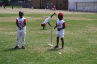 KFC Mini-Cricket Festival at Willowmoore Park, October 17.