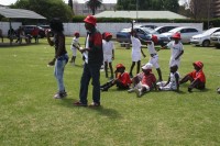KFC Mini-Cricket Festival at Willowmoore Park, October 17.