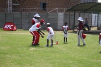 KFC Mini-Cricket Festival at Willowmoore Park, October 17.