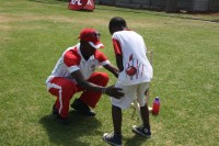 KFC Mini-Cricket Festival at Willowmoore Park, October 17.