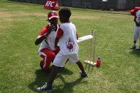 KFC Mini-Cricket Festival at Willowmoore Park, October 17.