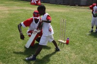 KFC Mini-Cricket Festival at Willowmoore Park, October 17.