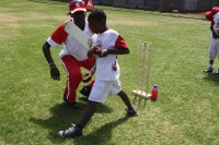KFC Mini-Cricket Festival at Willowmoore Park, October 17.
