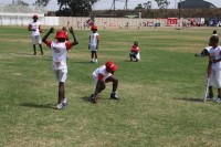 KFC Mini-Cricket Festival at Willowmoore Park, October 17.