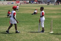 KFC Mini-Cricket Festival at Willowmoore Park, October 17.