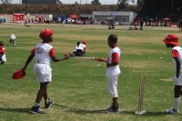 KFC Mini-Cricket Festival at Willowmoore Park, October 17.
