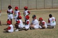 KFC Mini-Cricket Festival at Willowmoore Park, October 17.