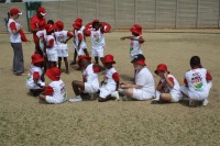 KFC Mini-Cricket Festival at Willowmoore Park, October 17.