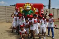 KFC Mini-Cricket Festival at Willowmoore Park, October 17.