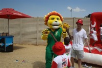 KFC Mini-Cricket Festival at Willowmoore Park, October 17.