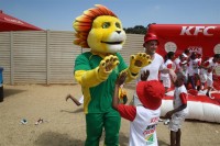 KFC Mini-Cricket Festival at Willowmoore Park, October 17.