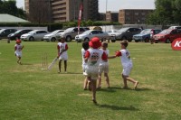 KFC Mini-Cricket Festival at Willowmoore Park, October 17.