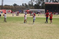 KFC Mini-Cricket Festival at Willowmoore Park, October 17.