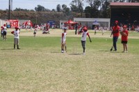 KFC Mini-Cricket Festival at Willowmoore Park, October 17.