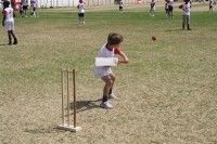 KFC Mini-Cricket Festival at Willowmoore Park, October 17.
