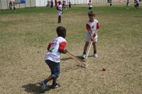 KFC Mini-Cricket Festival at Willowmoore Park, October 17.