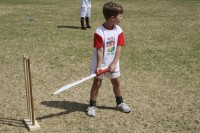 KFC Mini-Cricket Festival at Willowmoore Park, October 17.