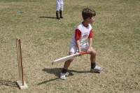 KFC Mini-Cricket Festival at Willowmoore Park, October 17.