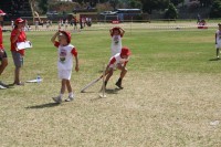 KFC Mini-Cricket Festival at Willowmoore Park, October 17.