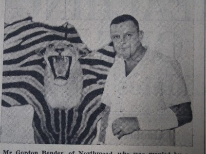 Gordon Bender, a Northmead resident, who was attacked by a lion.