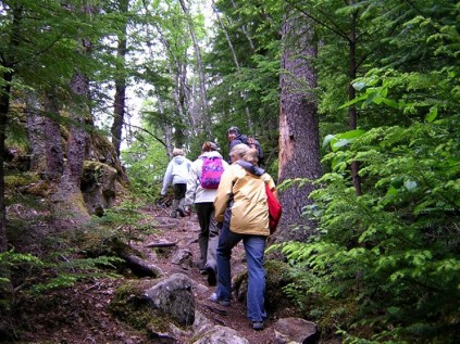 hikers (Large)