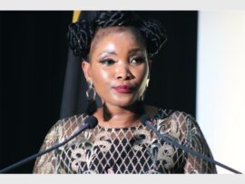 IMG_7324(Medium)_60238