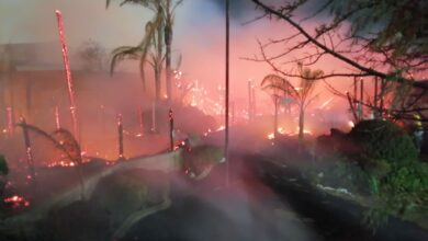 WhatsApp Image 2022-09-11 at 1.26.01 PM