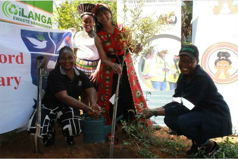 Organisations help school maintain green environment by planting trees Benoni City Times