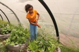 How local schools are teaching sustainability and climate awareness Pic 1