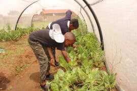 How local schools are teaching sustainability and climate awareness Pic 3