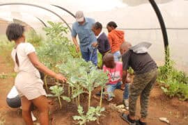 How local schools are teaching sustainability and climate awareness Pic 5