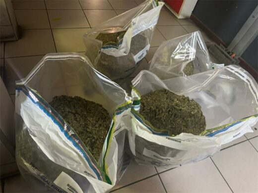 Four plastic bags containing dagga