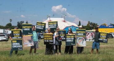 A group of protestors outside a circus.