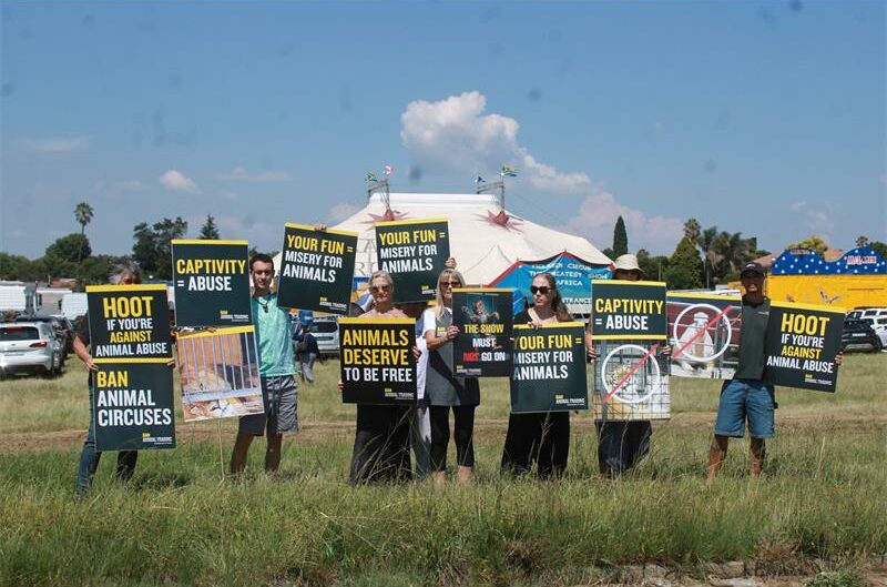 A group of protestors outside a circus.