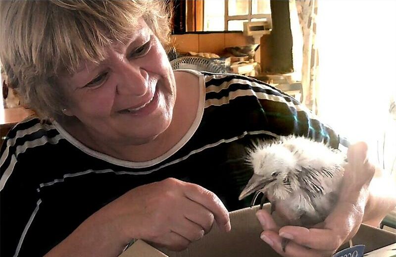 Woman smiling while holding a chick.