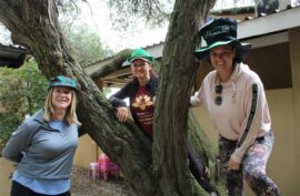 Three women in a tree