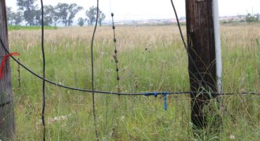 Image of power cables with peeling insulation tape