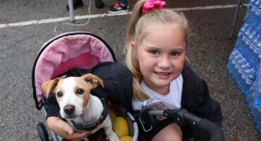 Girl with a dog in a pram