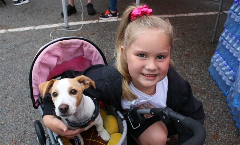Girl with a dog in a pram
