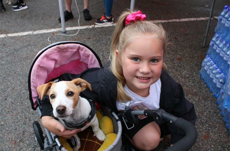 Girl with a dog in a pram