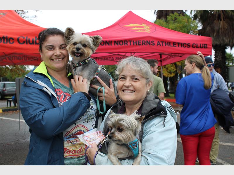 Two women holding two grey dogs