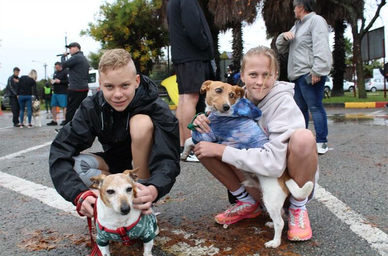 Boy and girl with two dogs