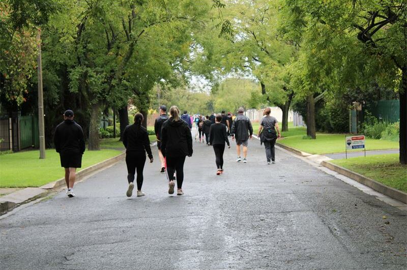 Picture of tree-lined street with people walking